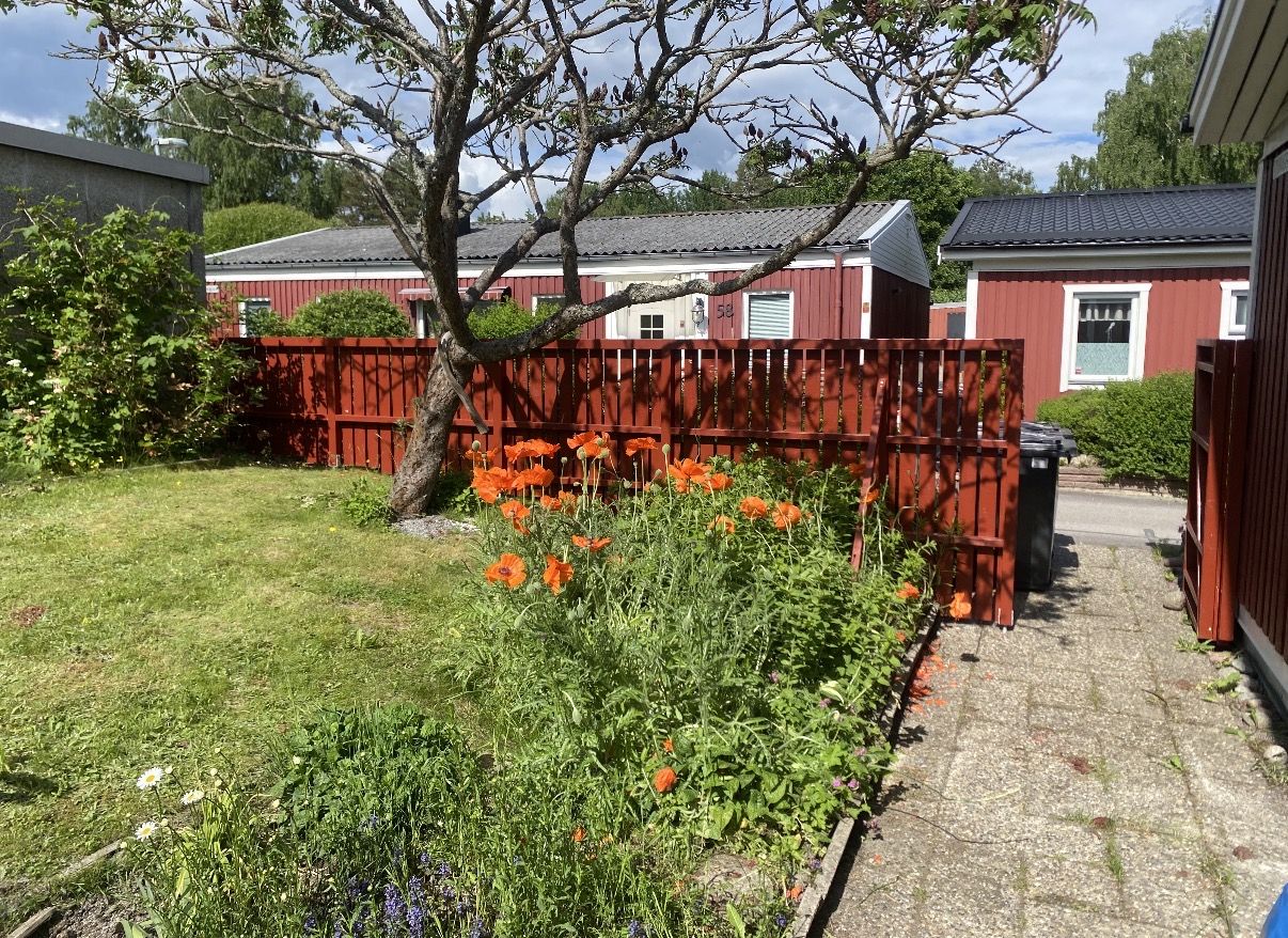 Rött staket runt en trädgård